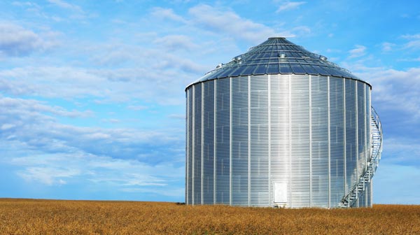 Grain bin servicing in Indianola, MS 